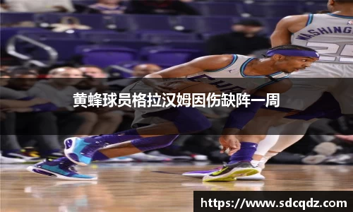 黄蜂球员格拉汉姆因伤缺阵一周