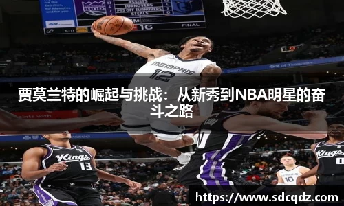 jn江南·体育登录入口