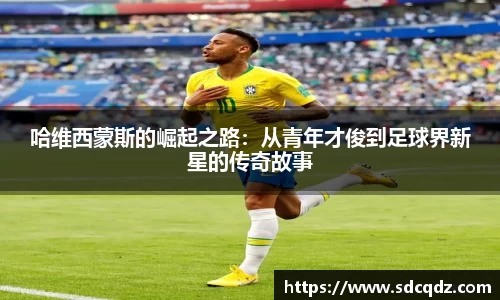 JN体育