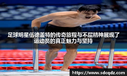 jn江南·体育登录入口