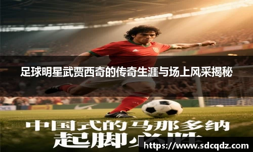 jn江南·体育登录入口